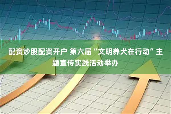 配资炒股配资开户 第六届“文明养犬在行动”主题宣传实践活动举办